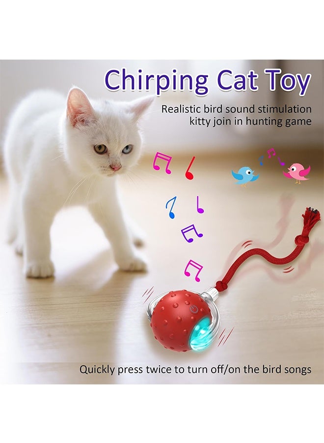 Interactive Cat Toys Ball for Indoor Cats Fast Rolling on Carpet, Chirping & Motion Activate Cat Toys - Image 5